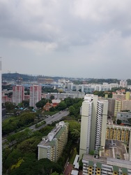 Blk 127A Kim Tian Road (Bukit Merah), HDB 3 Rooms #201254232